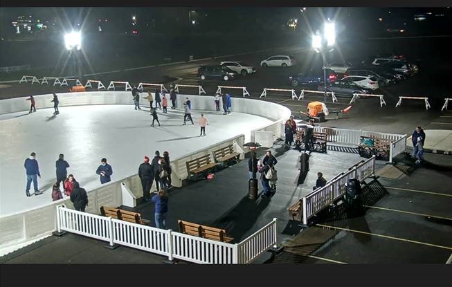 rink 1 rink 1
